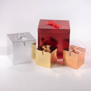 Caja de Regalo Mediana 22*22 cm