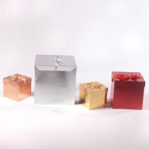 Caja de Regalo Mediana 22*22 cm