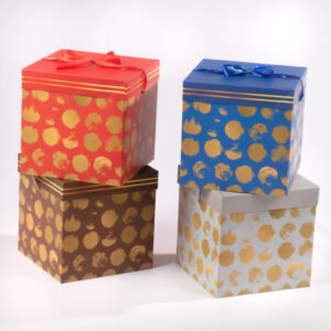 Caja de Regalo Mediana 22*22 cm