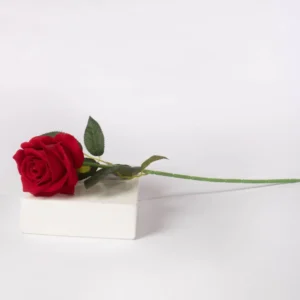 Rosa Artificial
