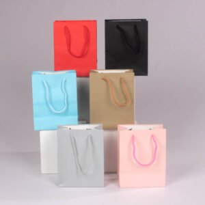 Bolsa de Regalo (S) 18*14*8