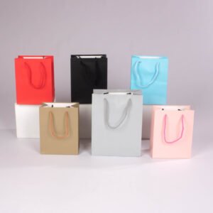 Bolsa de Regalo (M) 23*18*10