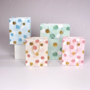 Bolsa de Regalo con Circulos (M) 26*32*10 cm