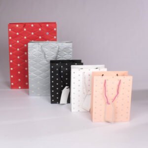 Bolsa de Regalo (L) 30*41.5*12 cm
