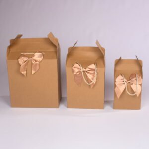 Bolsa de Regalo en Tono Kraft (M) 19*15*26 cm
