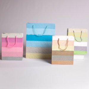 Bolsa de Regalo Rayas (L) 42*31*12