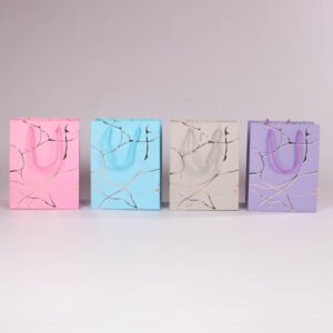 Bolsa de Regalo Líneas  (S) 23*18*10 cm