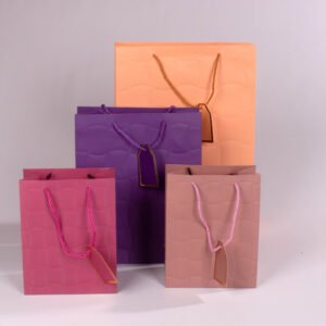 Bolsa de Regalo (L)  44*31*12 cm