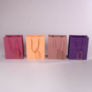 Bolsa de Regalo (S)  23*18*10 cm
