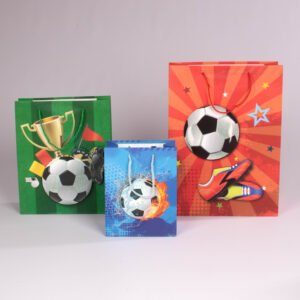Bolsa de Regalo Balón (L) 41.5*30*12 cm